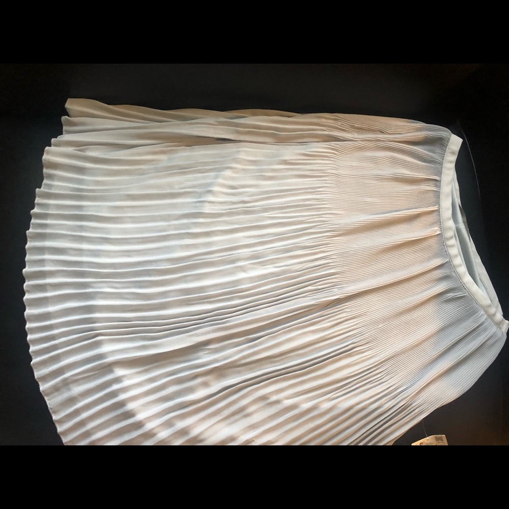 Zara midi skirt